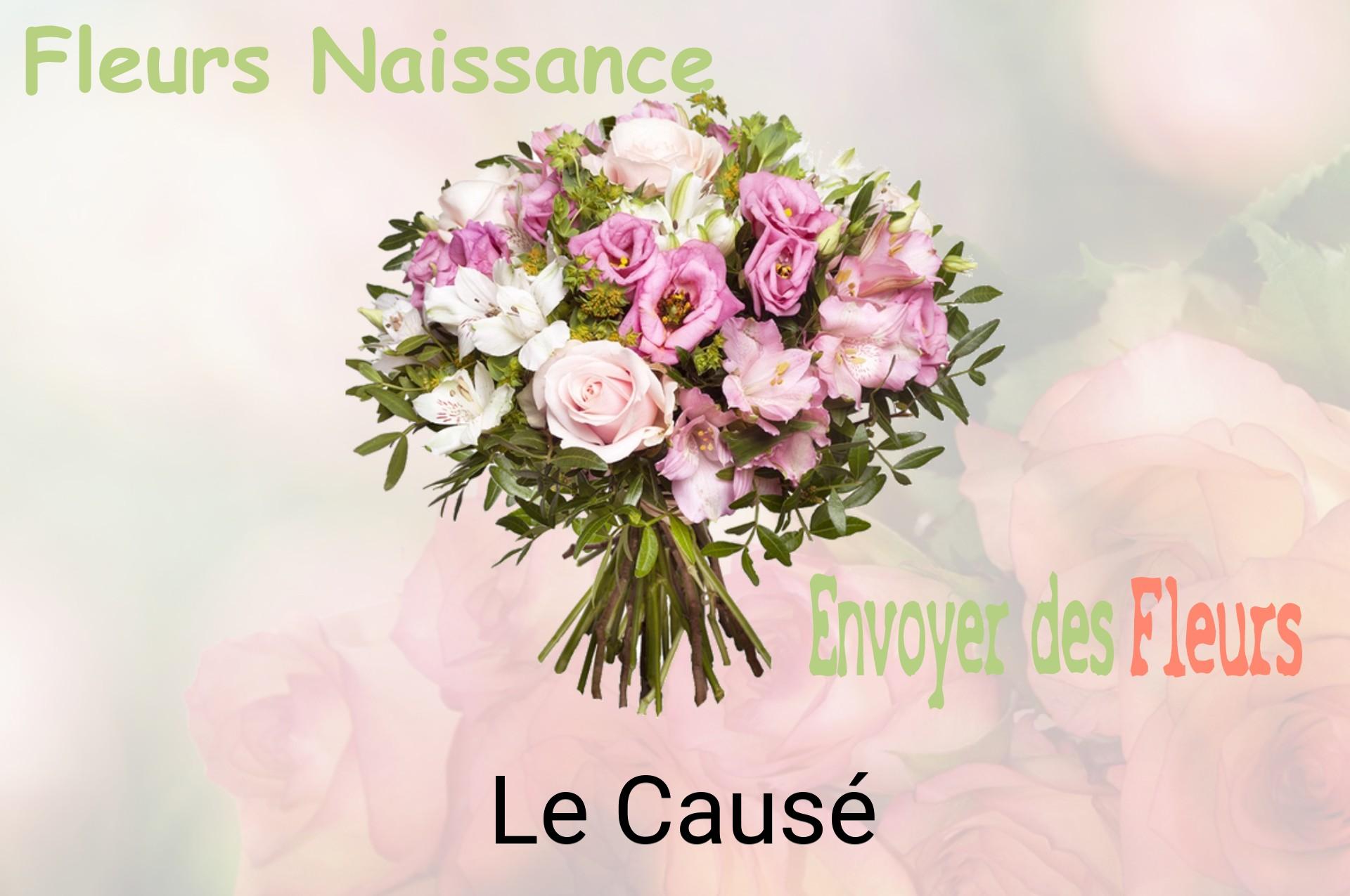 Bouquet de fleurs de naissance livré à Le Causé