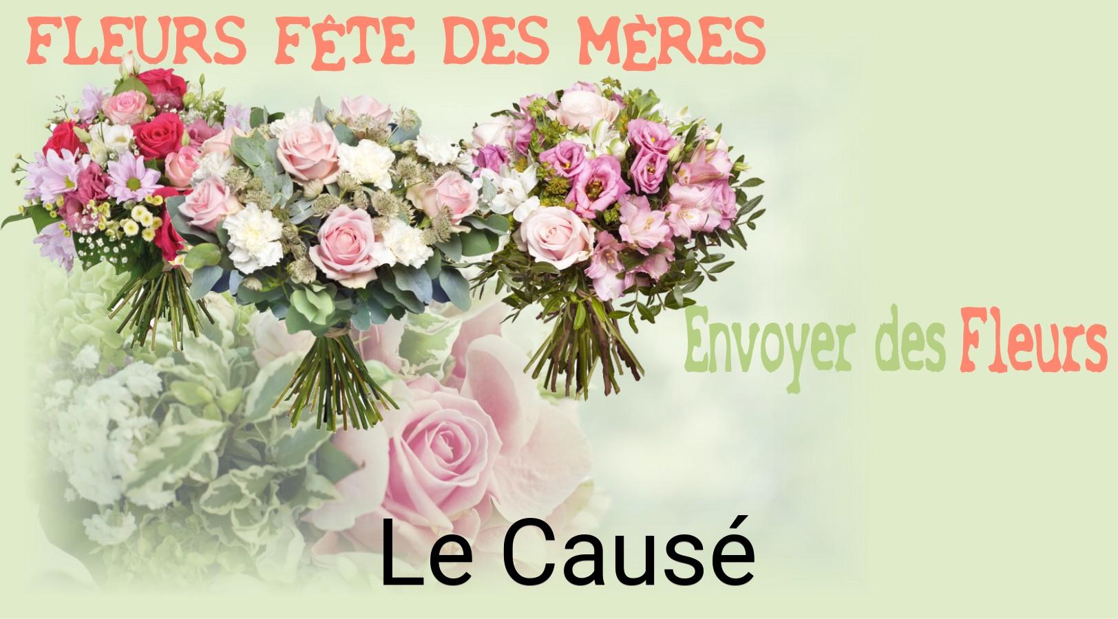 Bouquet de Fête des Mères livré à Le Causé